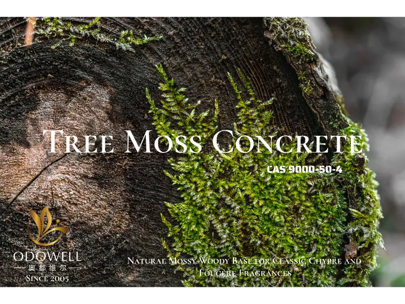 Tree Moss Concrete – ODOWELL のクラシックなシプレーとフジェールの香りのための天然苔状ウッディベース
