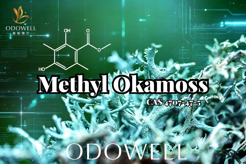 ODOWELL がメチル オカモスを発表: シプレーとフジェールを極めるための本格的な合成オークモス