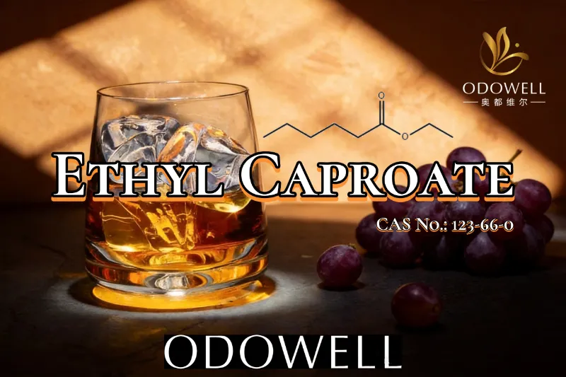 ODOWELL はフルーティーでワインのようなフレーバー用途にカプロン酸エチルを推奨